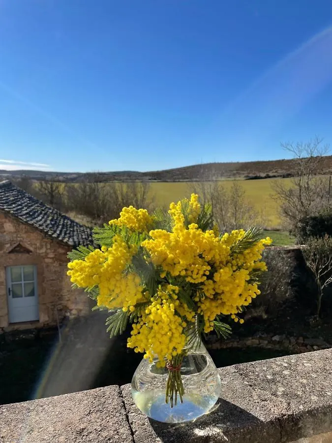 Le Gite Du Larzac A Brunas Creissels 0*,  Frankrijk